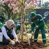 Tekan Polusi, Jaksel Gencarkan Penghijauan