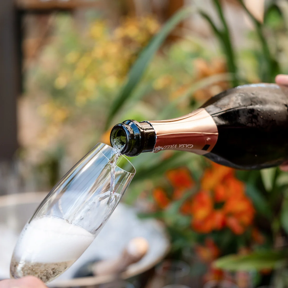 O que tem para fazer em Brasília? Confira programação de 24 a 29/9
