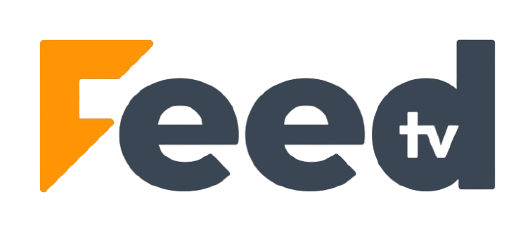 Imagem da matéria: SOLUÇÃO CASEIRA: Como recuperar maciez e levantar as fibras de tapetes felpudos
