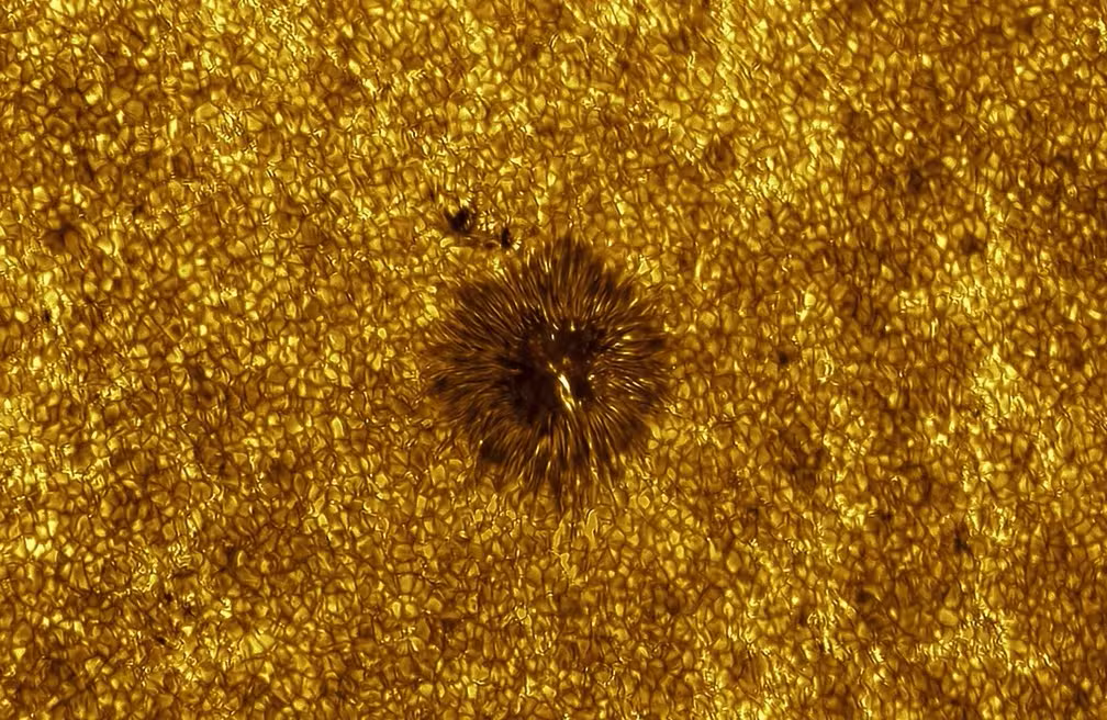 Imagem da matéria: “Tubarão cósmico” vence concurso de melhor foto de astronomia de 2026; veja a imagem