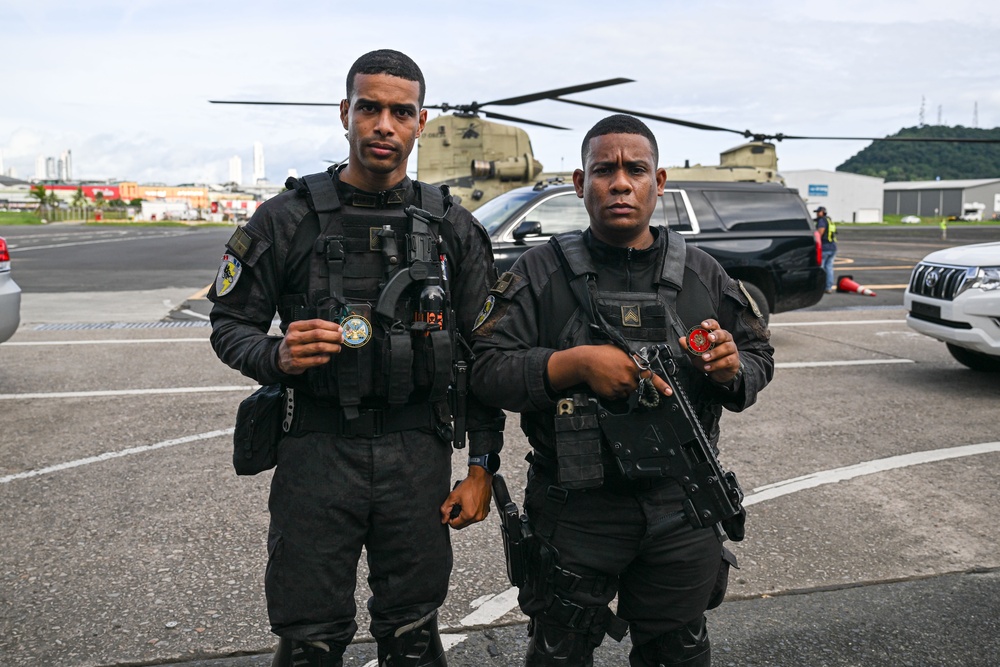 Imagem relacionada à notícia: Parceiros em Proteção