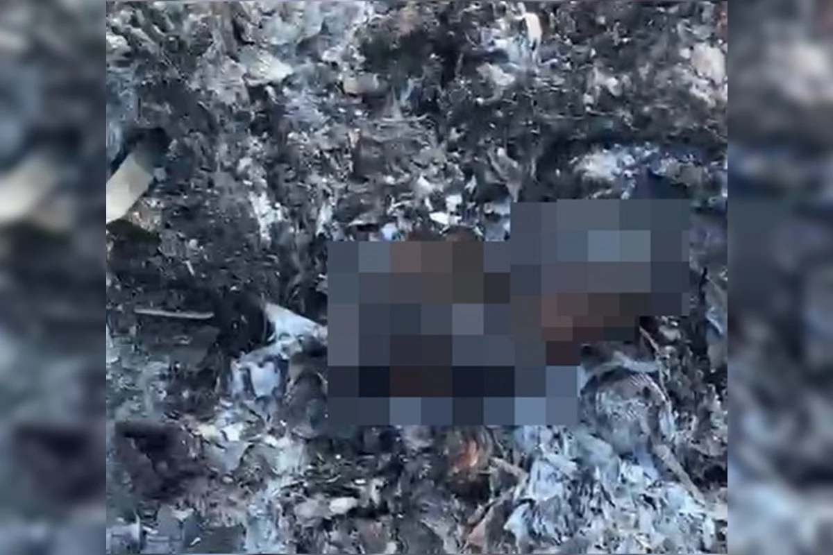 Recém-nascido carbonizado: PCDF recolhe imagens para elucidar o caso