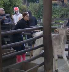 O apresentador está sendo acusado de maus tratos aos animais Foto: Reprodução: TV Record
