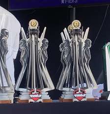 Troféus da etapa endurance da Stock Car Pro Series Foto: Diego Fernandes/Parabólica