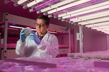 O sabor de Taiwan: quando um ingrediente encontra a cultura de um país