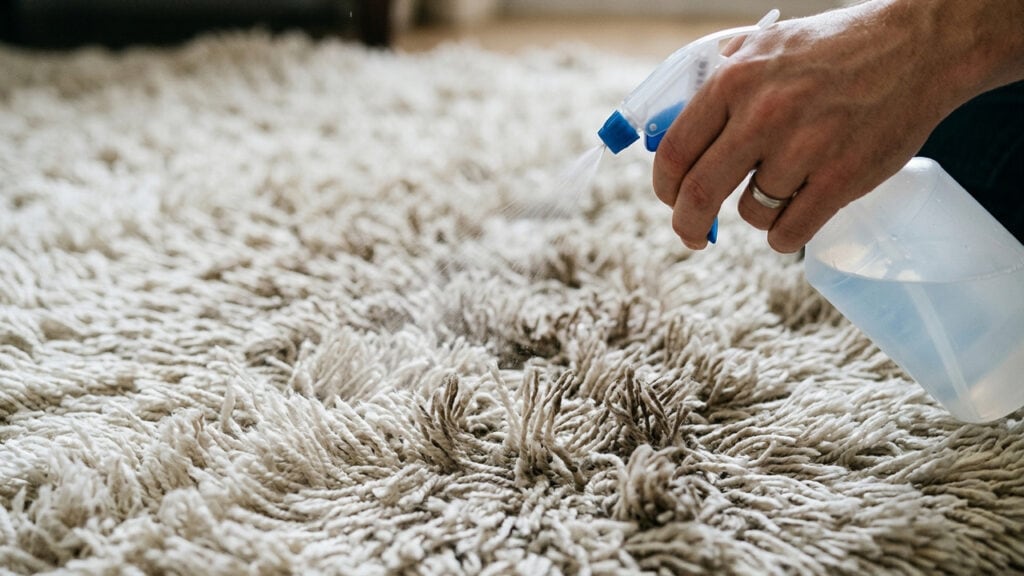 SOLUÇÃO CASEIRA: Como recuperar maciez e levantar as fibras de tapetes felpudos