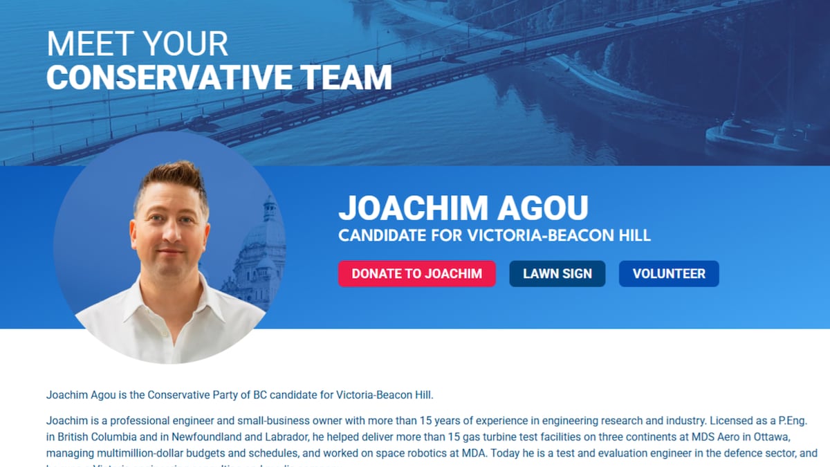 ‘No excuse for this’: B.C. Conservatives drop candidate over social media posts