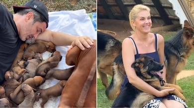 Ana Hickmann inspira ao falar sobre resiliência e foco: ‘Sou daquelas que levanta e vai à luta’