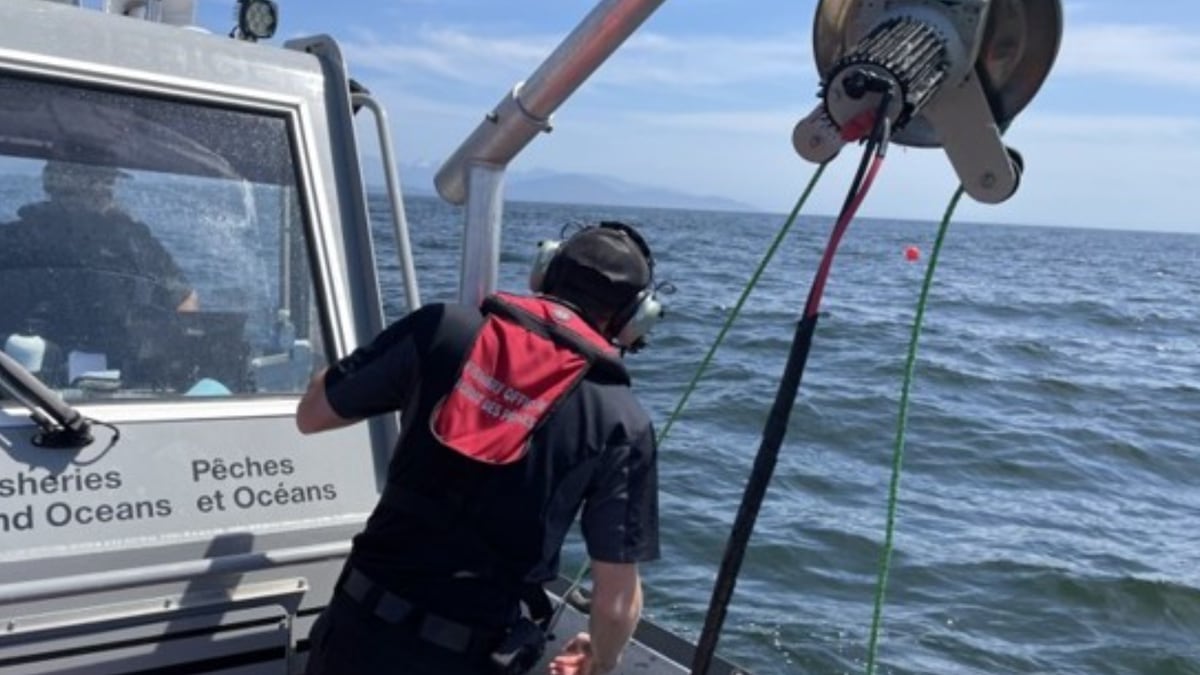 Repeat illegal prawn fishing leads to $30K fine for B.C. man