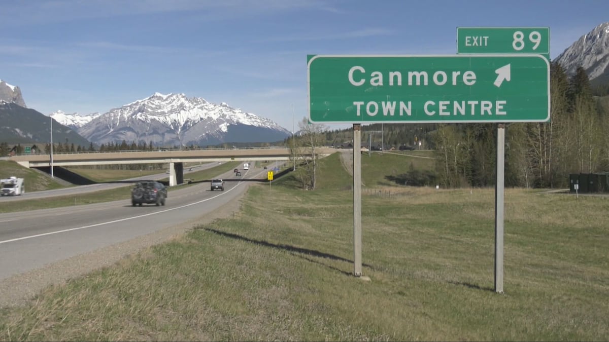 Off-leash dog kills mule deer in Canmore