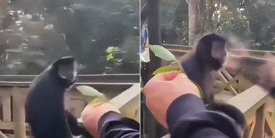 V&iacute;deo do momento da agress&atilde;o circula nas redes sociais Foto: Reprodu&ccedil;&atilde;o/Instagram/@ovictorbiologo