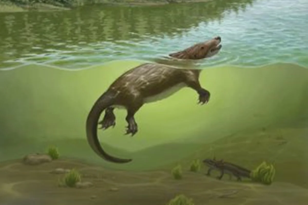 Ilustração colorida de fóssil parente dos mamíferos - Metrópoles