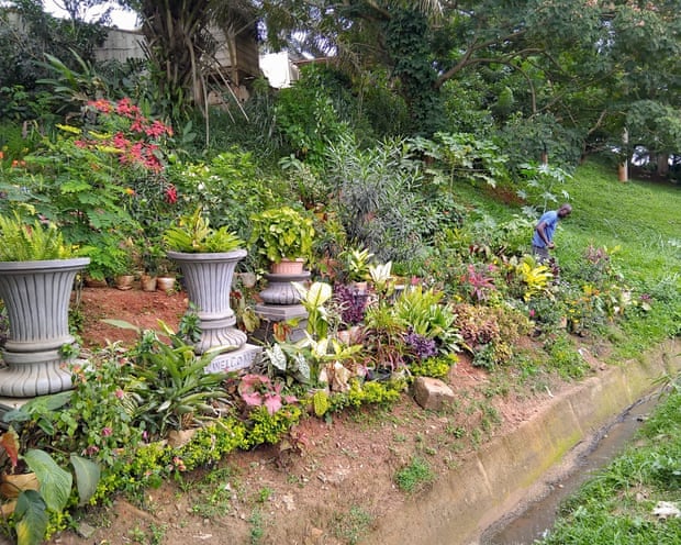 'Eles pavimentaram o paraíso': lutando contra a perda de áreas verdes na capital do Camarões