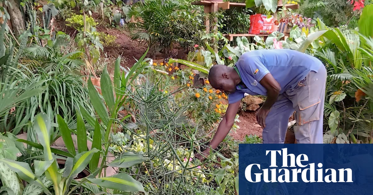 'Eles pavimentaram o paraíso': lutando contra a perda de áreas verdes na capital do Camarões
