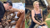 Ana Hickmann inspira ao falar sobre resiliência e foco: ‘Sou daquelas que levanta e vai à luta’