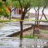 Los atacantes fueron identificados como Carlos y David, quienes están a disposición del Ministerio Público