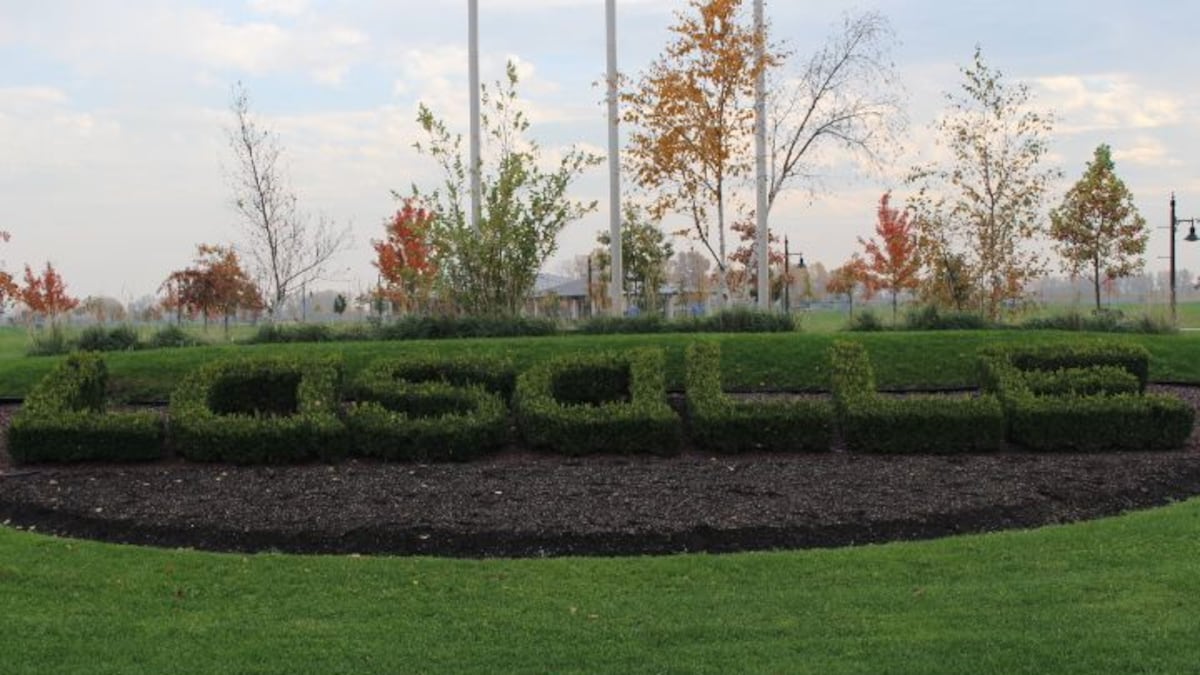 Voter Information Letters mailed as LaSalle election approaches