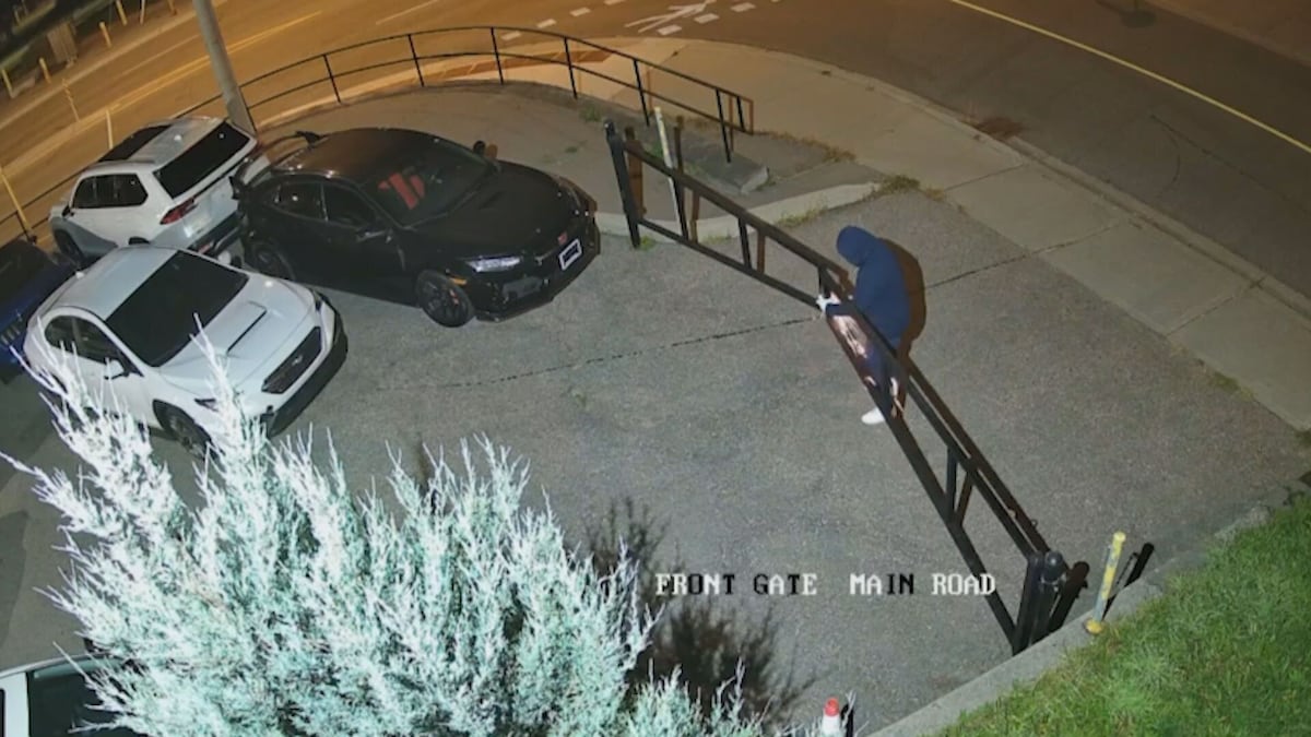 Neighbours scare off would-be robbers at Ontario car dealership