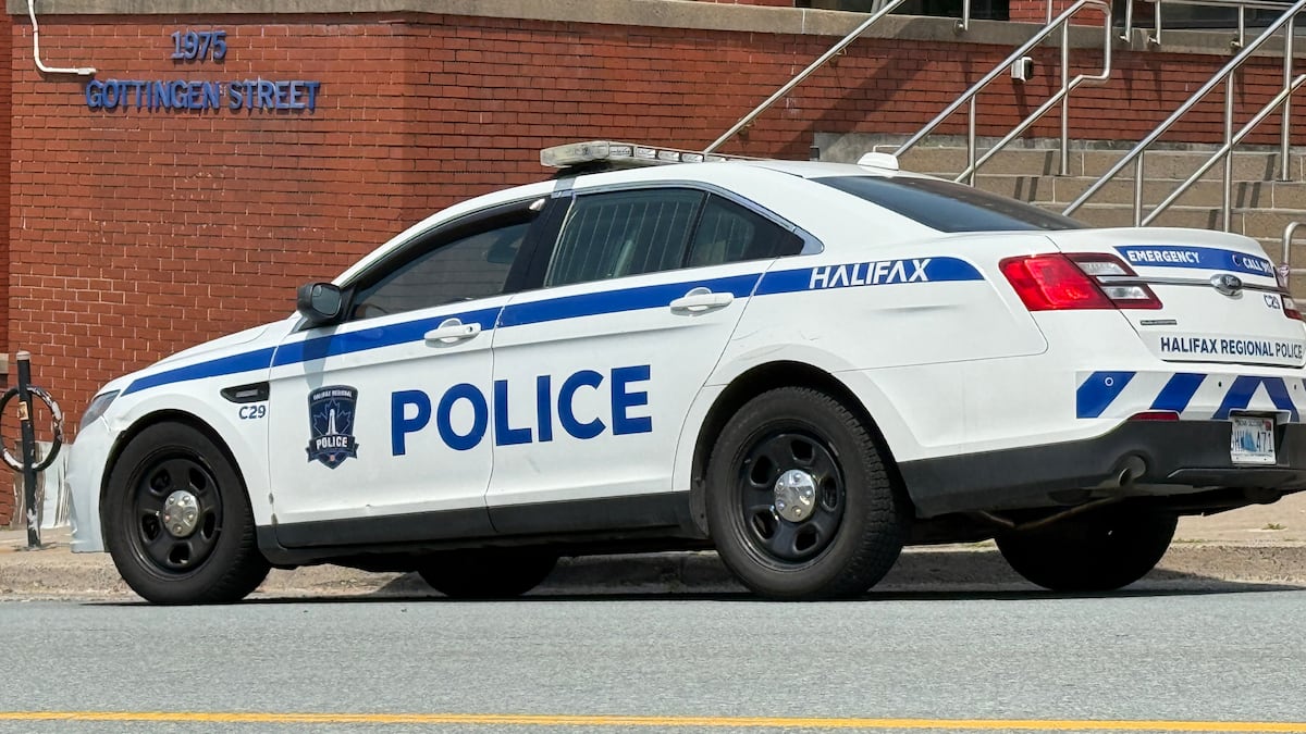 Woman charged after hit-and-run and police chase in Halifax: police