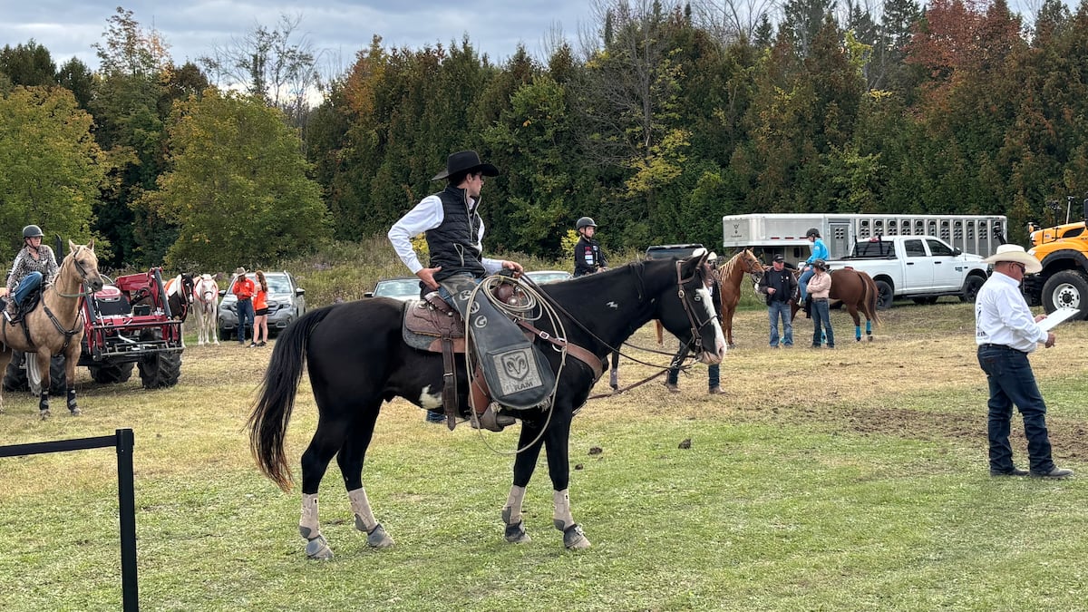Giddy up: Wasaga Beach draws thousands to its annual rodeo